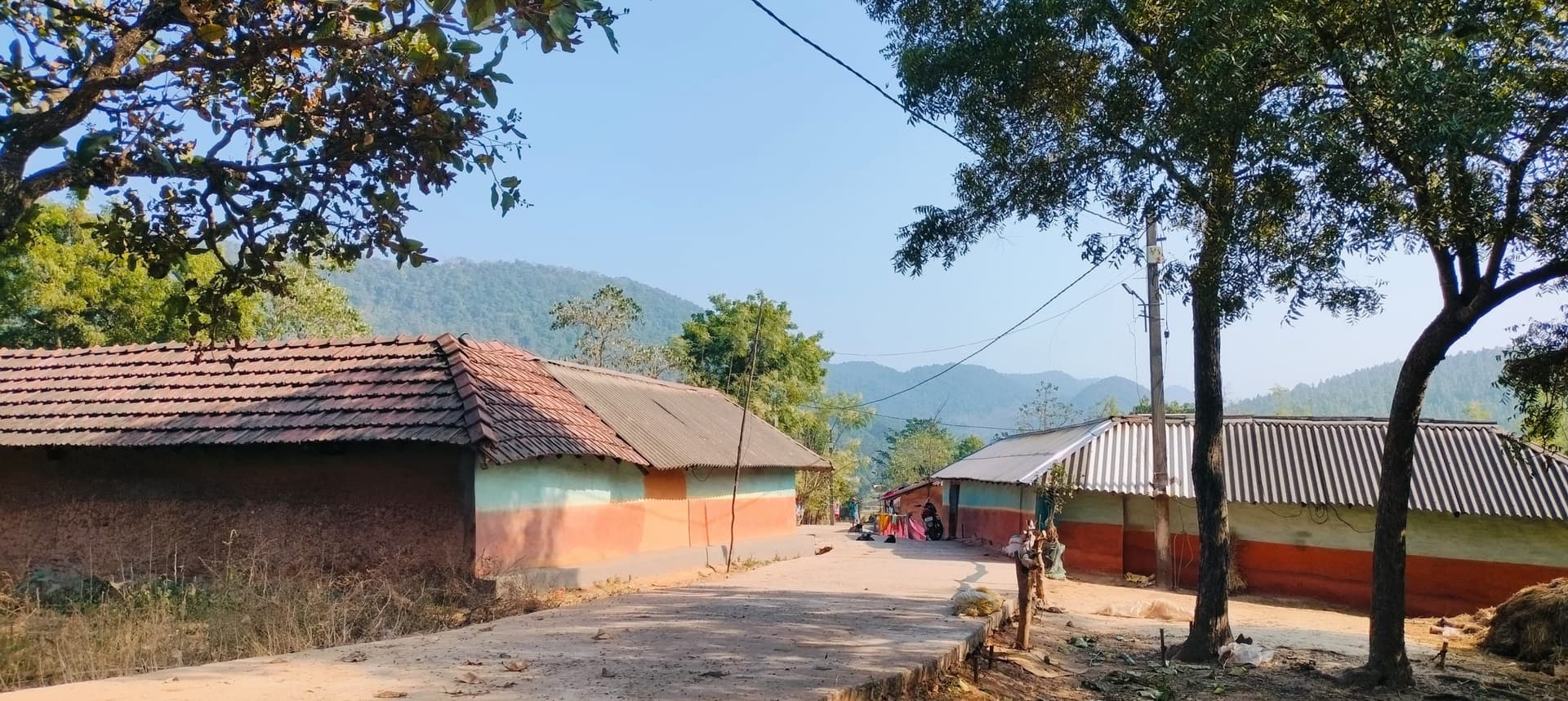 East singhbhum News : बाघ के खौफ में घरों में कैद हुए लोग, बच्चों की पढ़ाई, किसानों की खेती, मजदूरों की मजदूरी पर लगा ग्रहण