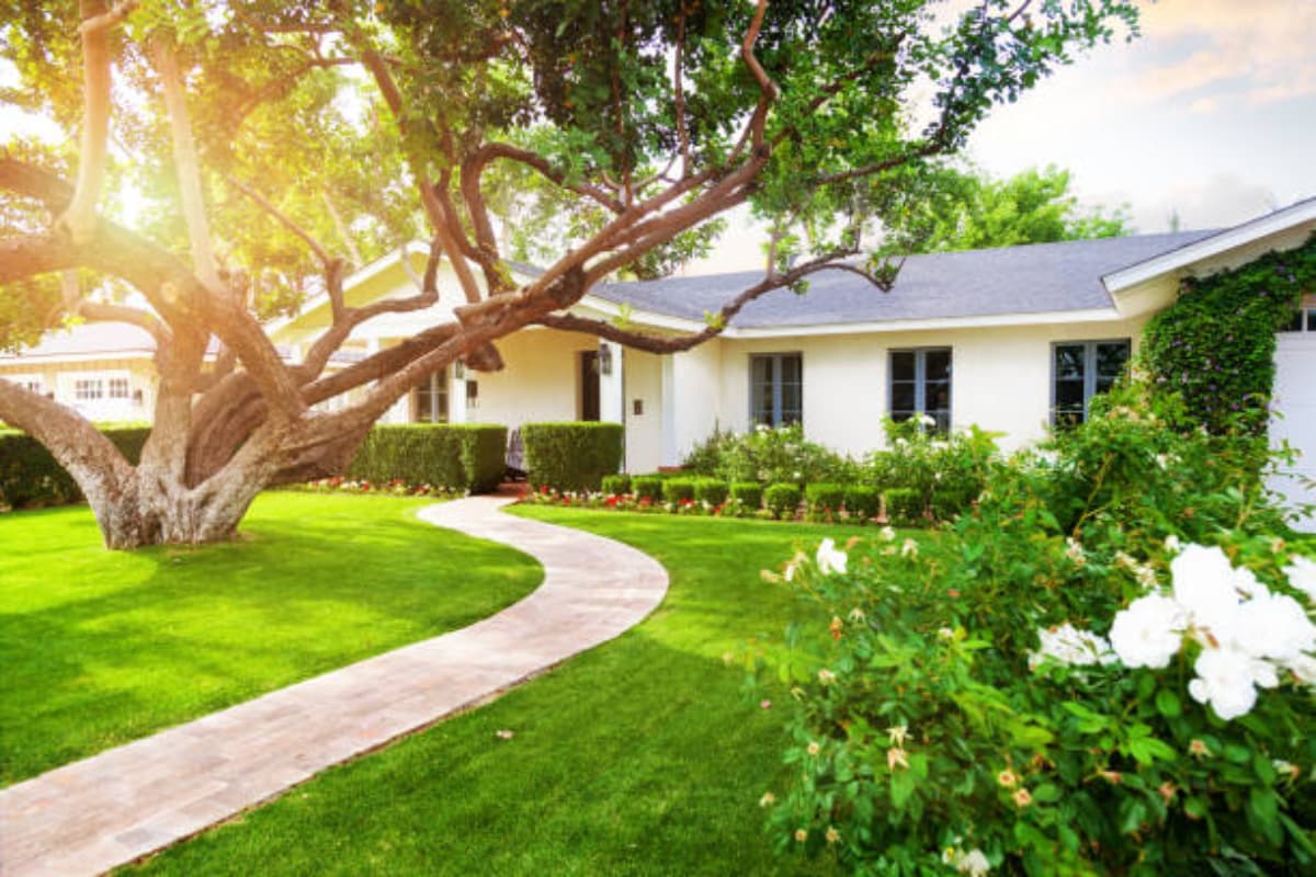 Vastu Tips: घर के बाहर कभी भी न लगाएं ये पेड़, गरीबी से लेकर मौत तक का रहता है खतरा