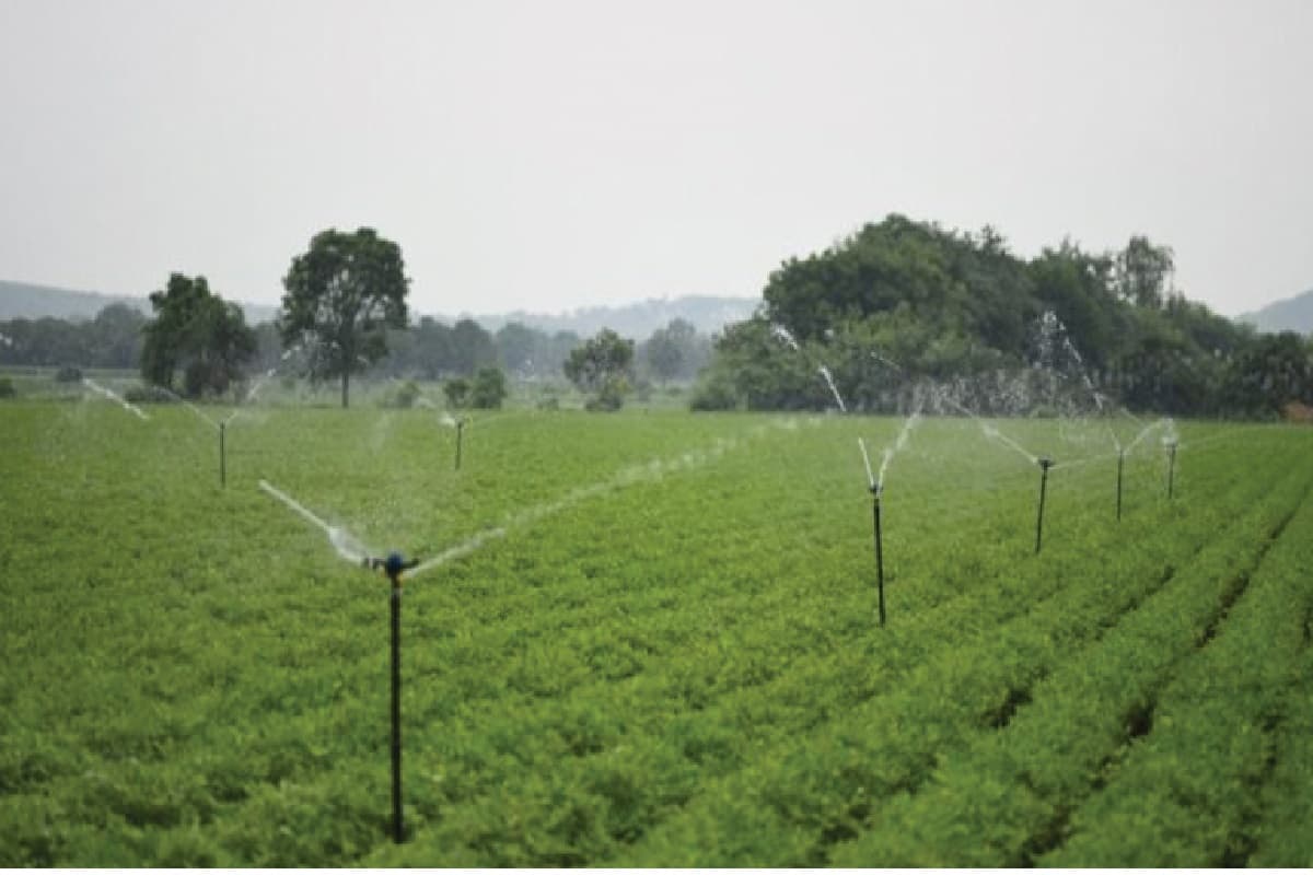 Agriculture News: बिहार में दो सालों में होगी बेहतर सिंचाई सुविधा, पढ़िए क्या कर रही है सरकार