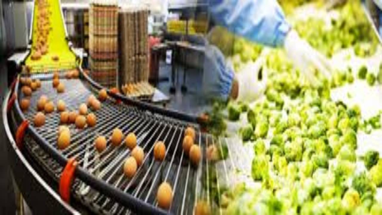 भागलपुर में फूड प्रोसेसिंग यूनिट से किसानों को होगा दोगुना लाभ, पैक हाउस और प्रोसेसिंग यूनिट की तैयारी