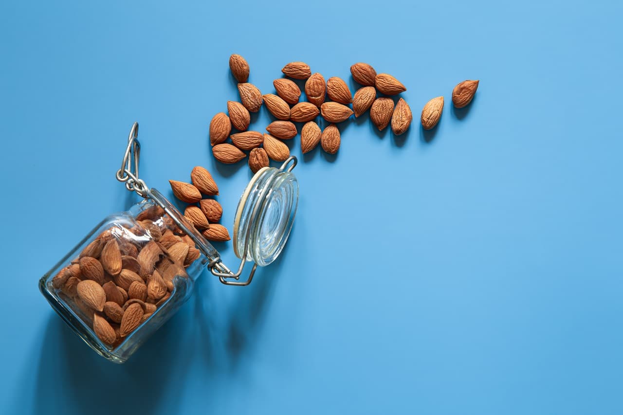 National Almond Day 2025 : 16 फरवरी को मनाया जाता है नेशनल बादाम दिवस, जानें महत्वपूर्ण बातें