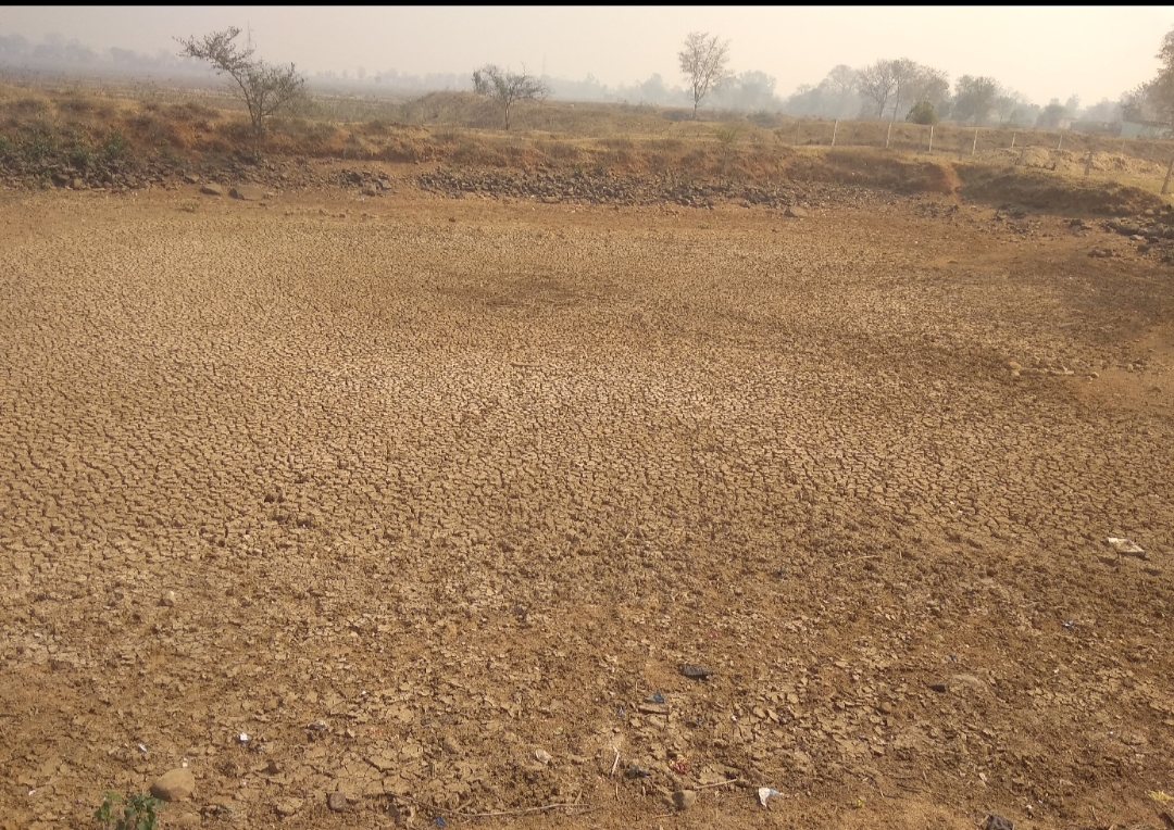Chaibasa News : दलपोसी के कालिंदी टोला का तालाब सूखा, 500 लोगों को जलसंकट