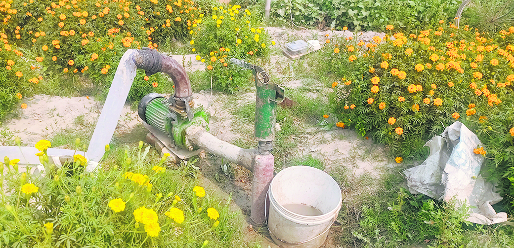 hajipur news. किसानों को समृद्ध बना रहा मुख्यमंत्री कृषि विद्युत संबंध योजना, महंगी सिंचाई से मिली मुक्ति