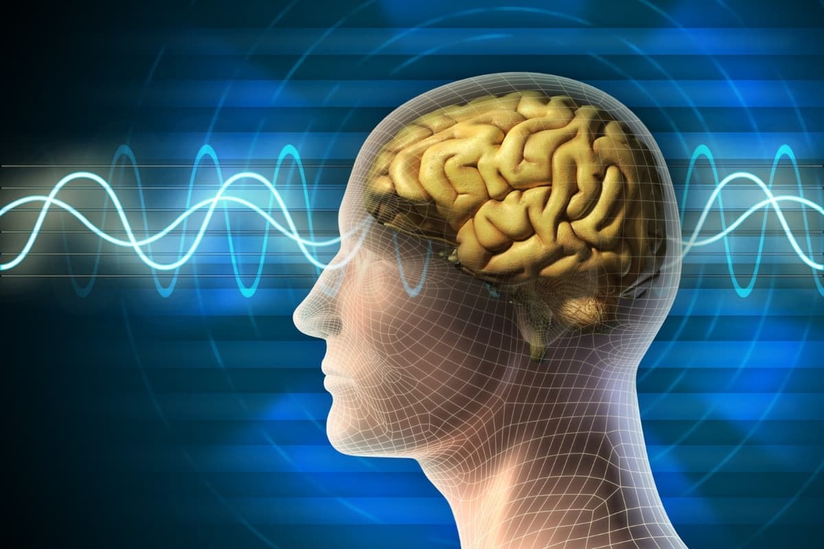 Dying Human Brain: आखिर मौत से पहले क्या सोचता है इंसान का दिमाग? शोध से खुला राज