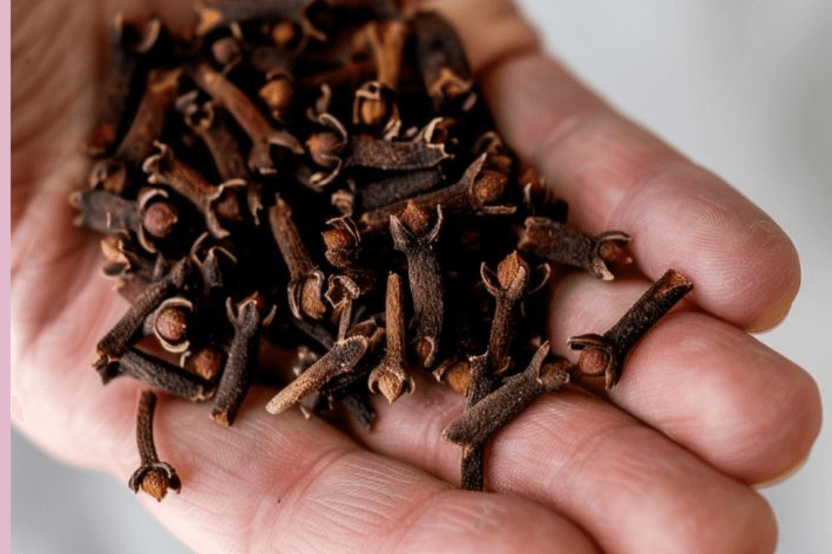 Long pepper & Clove Benefits: मुंह में रातभर लौंग या पिपली रखने से क्या होता है…
