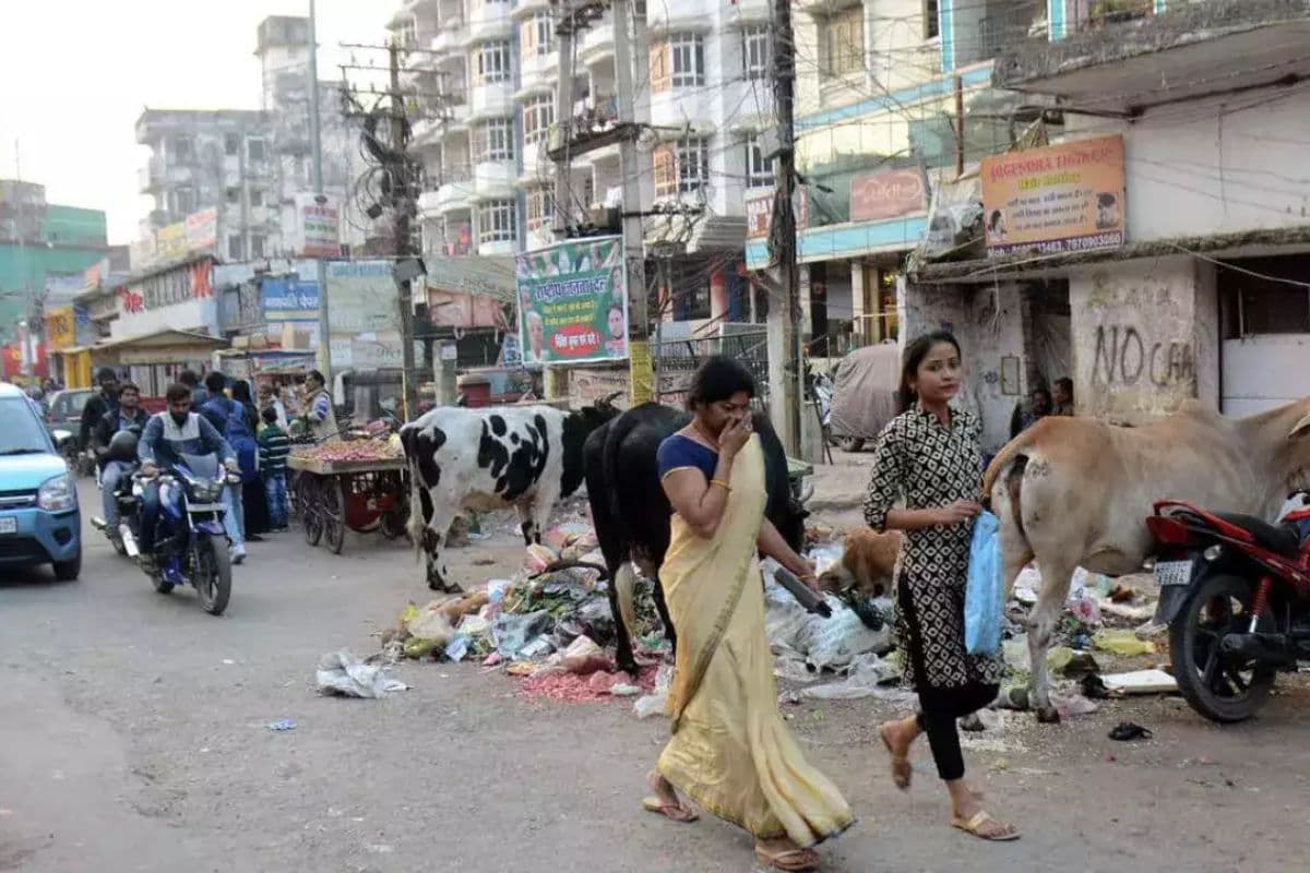 बिहार के नाम दर्ज हुआ शर्मनाक रिकॉर्ड, काम नहीं आया सरकार का प्रयास