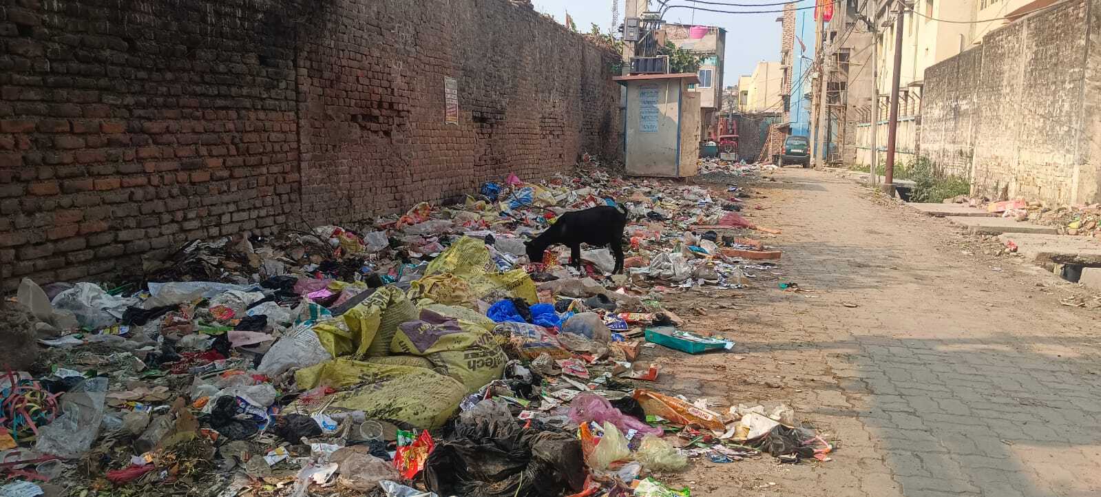 नहीं हो पाया डोर-टू-डोर कचरे का उठाव, परेशानी