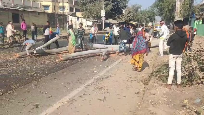 सड़क पर गिरा लिप्ट्स का पेड़, आवागमन बाधित