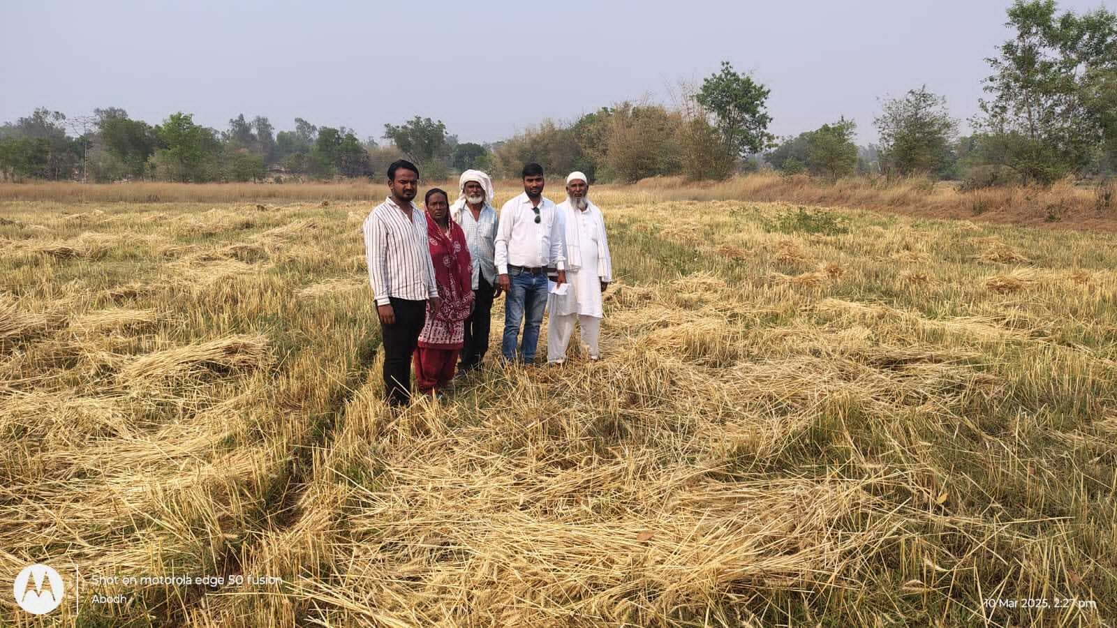 Giridih News: हाथी के झुंड ने किया फसलों को नष्ट