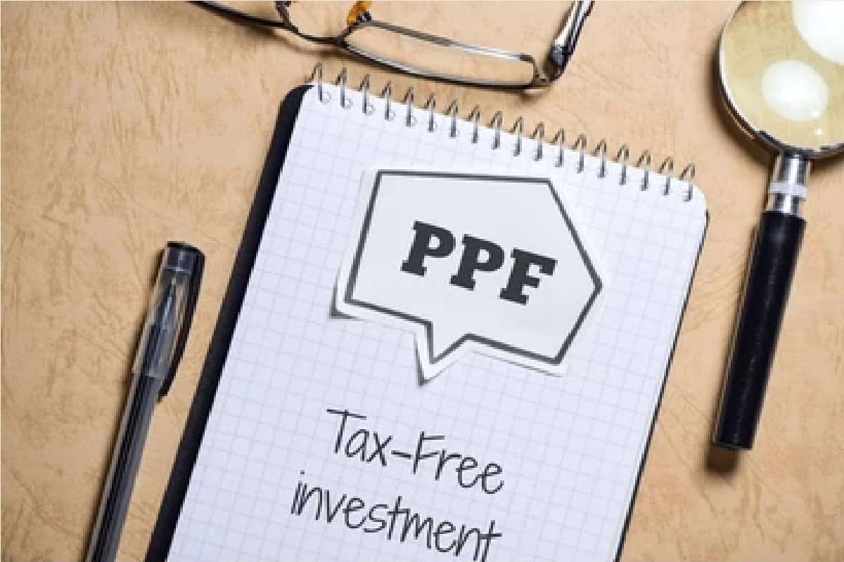 PPF खातों में फ्री में जुड़ेगा नॉमिनी का नाम, SSY और NSC के बदल गए नियम