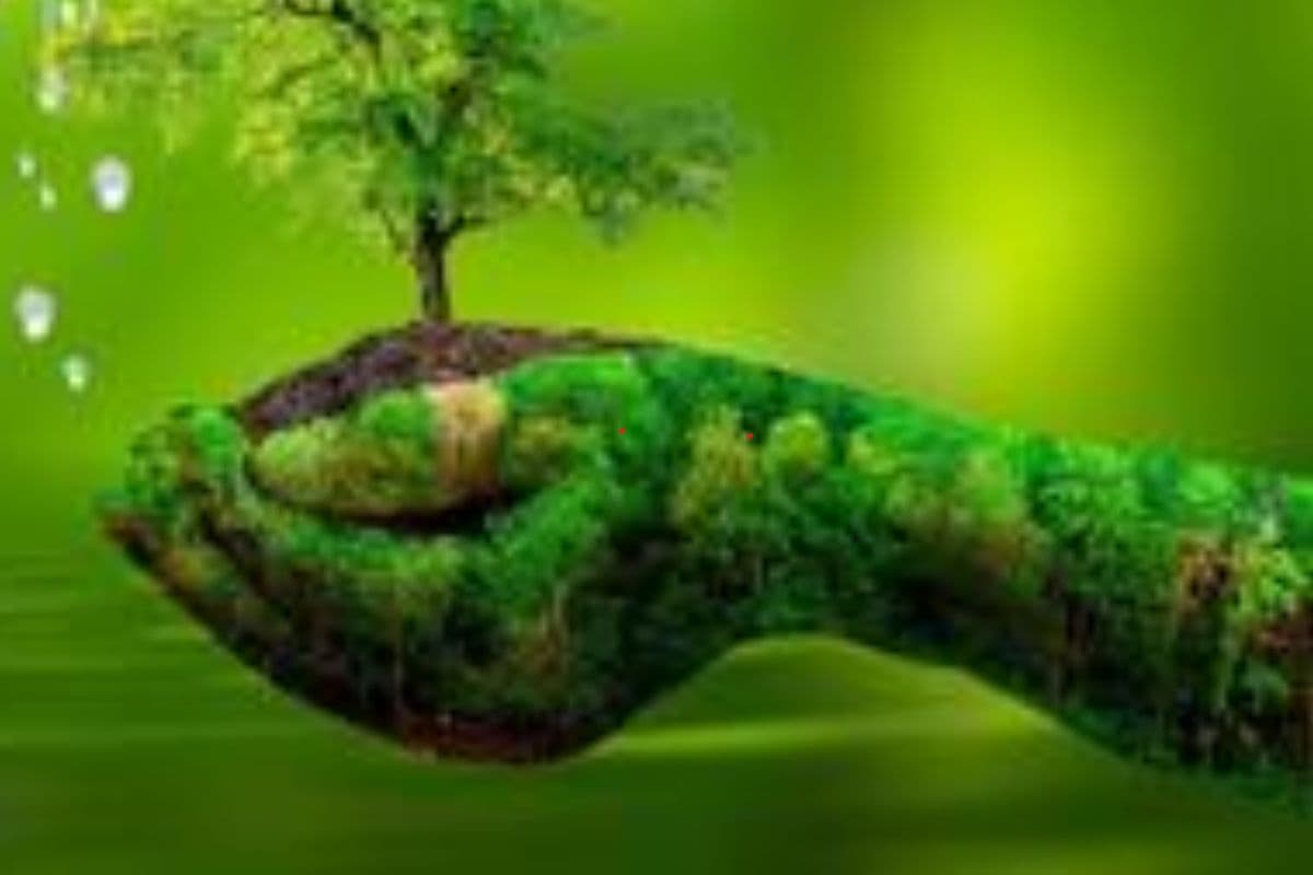 पर्यावरण के प्रति गजब का प्रेम! प्रकृति को बचाने के लिए 15 माह से साइकल यात्रा कर रहा झारखंड का यह शख्स