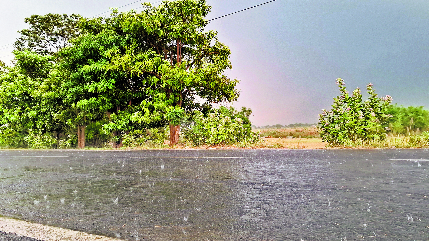 Gopalganj News : तेज आंधी और बारिश ने फसलों को पहुंचाया नुकसान, गिरे पेड़, प्रशासन अलर्ट