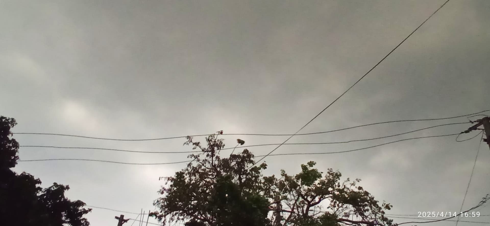तेज आंधी के साथ हुई बारिश, तापमान में आई गिरावट, कटी बिजली