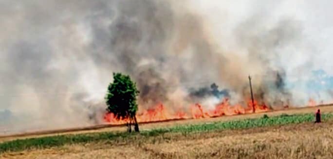 Gopalganj News : सपहां गांव के चंवर में लगी आग में पांच एकड़ में लगी गेहूं की फसल राख