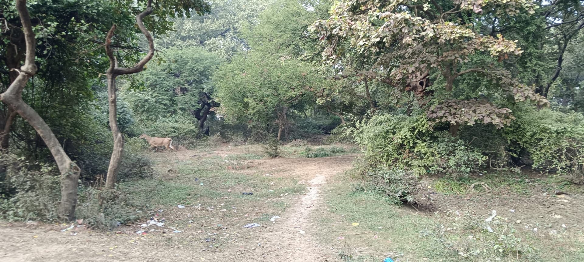 दो महीने बाद भी शुरू नहीं हुआ भलुनीधाम के कायाकल्प का काम