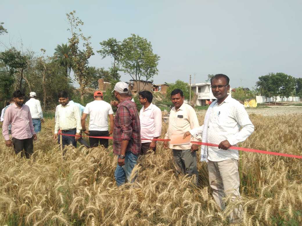 Samastipur News:सहायक निदेशक ने करायी क्रॉप कटिंग