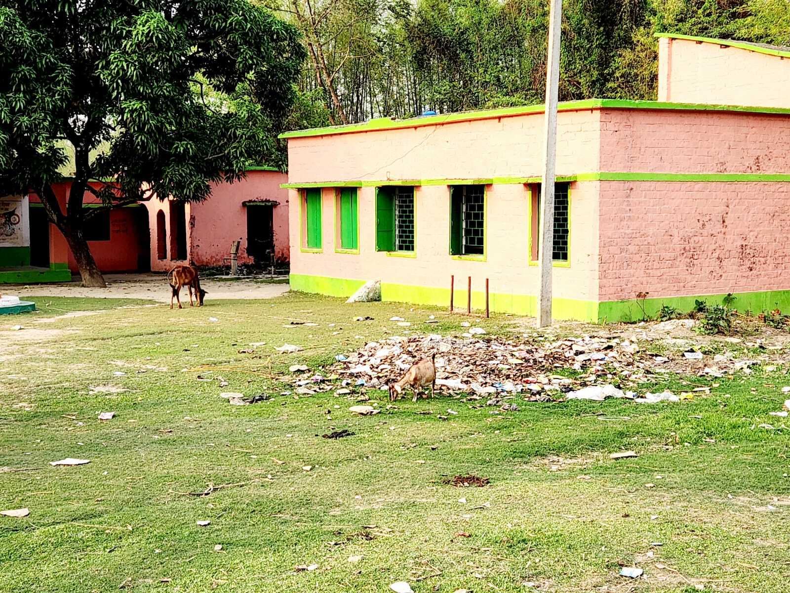 विद्यालय परिसर में कचरे का ढेर, परेशानी