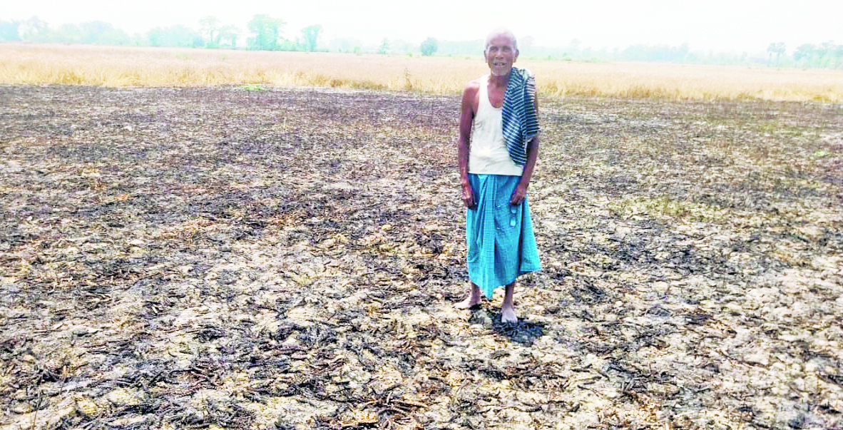 Gopalganj News : पंचदेवरी में शाॅर्ट-सर्किट से लगी आग, तीन एकड़ गेहूं की फसल राख