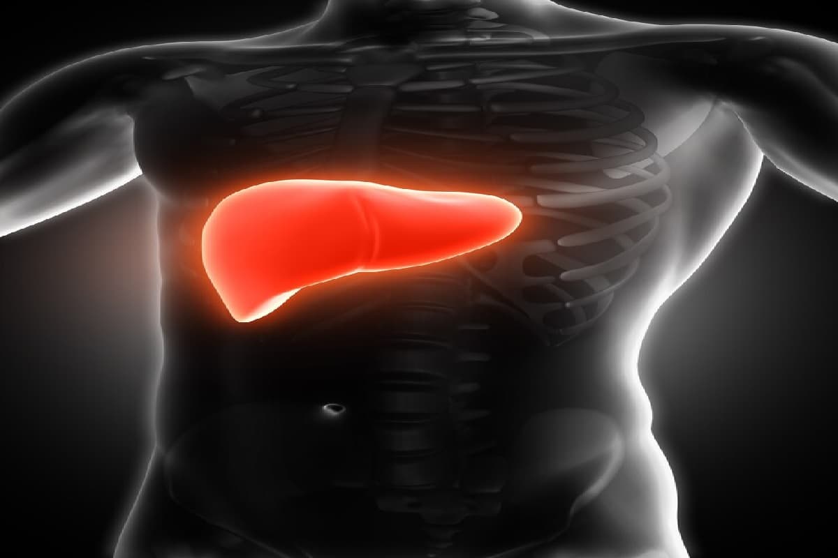 Health Tips: शरीर में जमी गंदगी से मिलेगा छुटकारा, रोजना पिएं ये 5 चमत्कारी देसी ड्रिंक्स