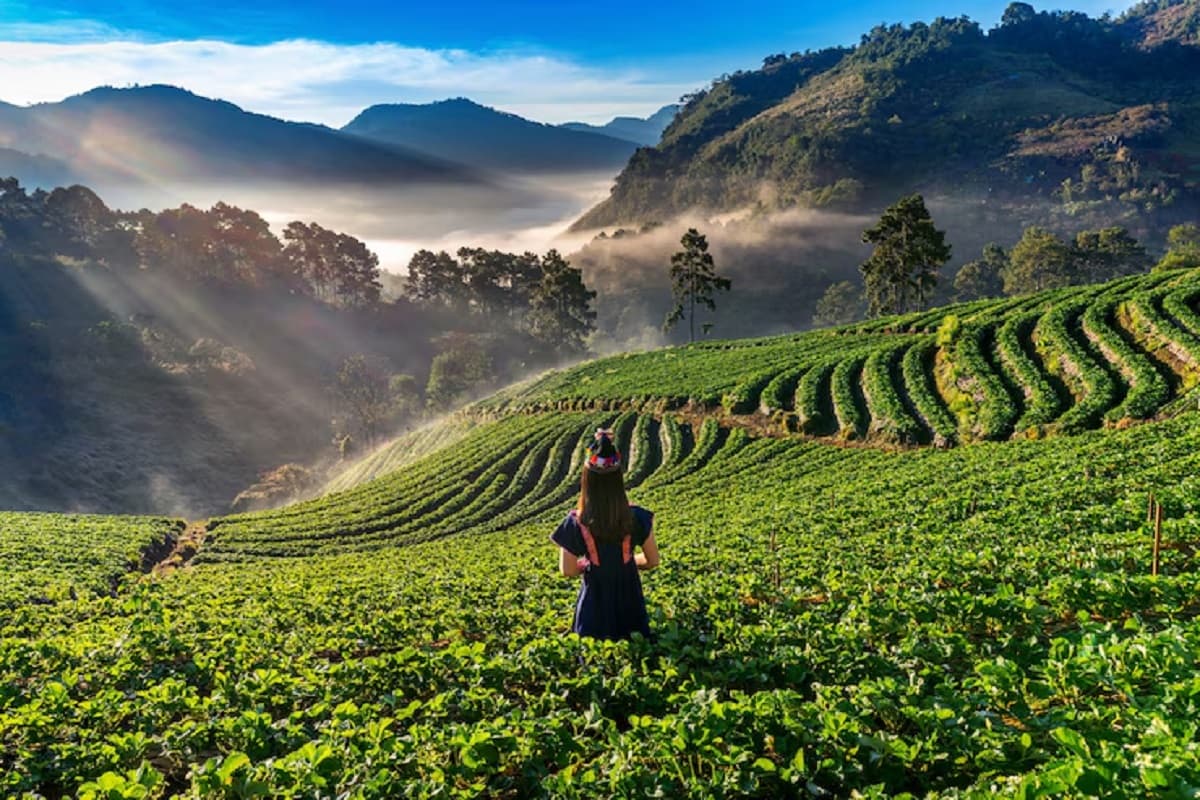 Mizoram Tourism: भारत का उभरता हुआ हिल स्टेशन, जानिए मिजोरम में घूमने की खास जगहें