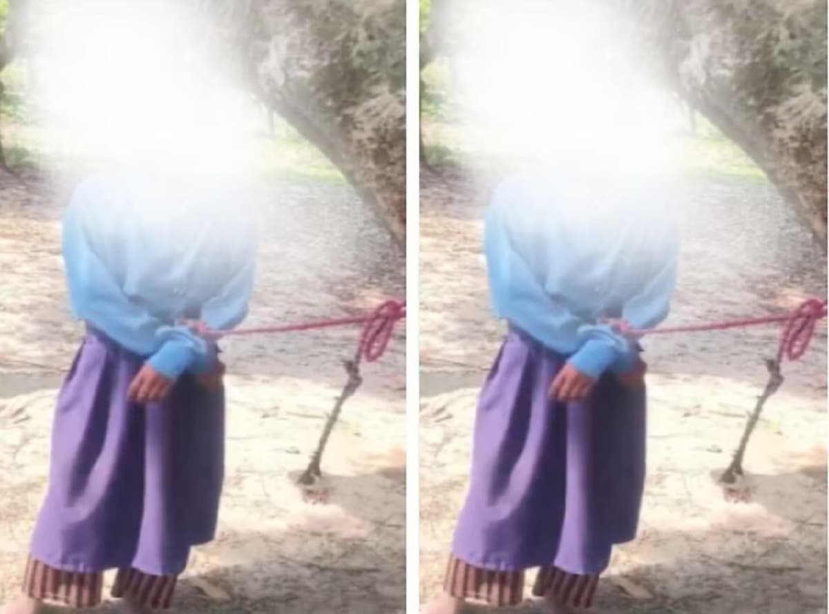 Bihar News: बिहार में लीची तोड़ने की सजा, चौथी क्लास की छात्रा को घंटों पेड़ से बांधा