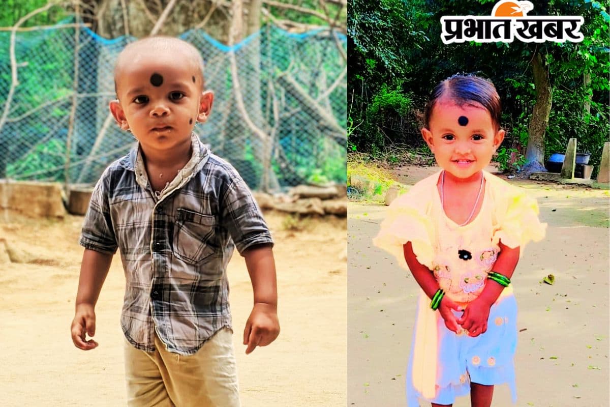 मां पका रही थी खाना, बत्तख देखने गये 2 मासूम डोभा में डूबे, गांव में मचा कोहराम