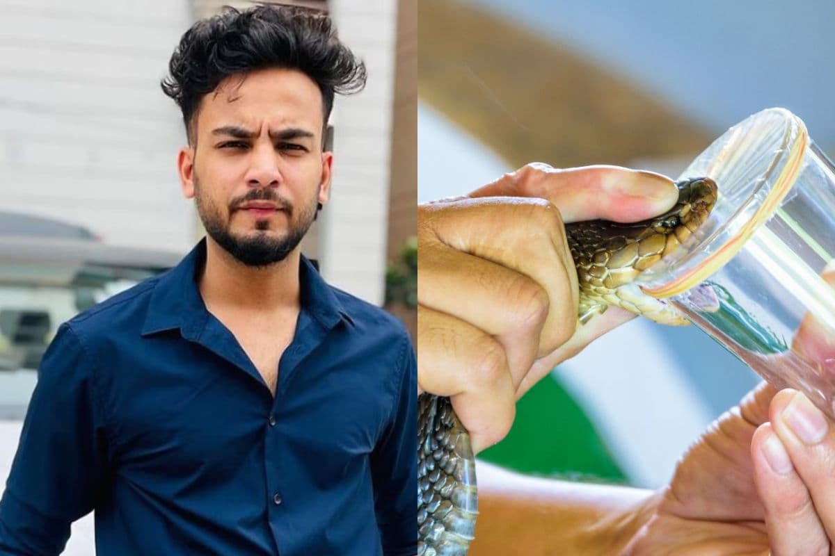 एल्विश को हाई कोर्ट से लगा झटका, सांप के जहर के मामले में बढ़ेंगी कानूनी मुश्किलें