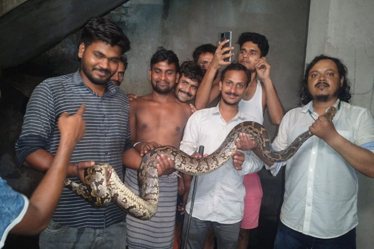 Dhanbad News: मजदूरों के क्वार्टर में घुसा विशालकाय अजगर