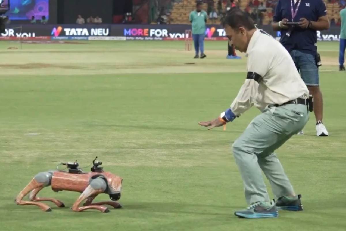 IPL 2025 के रोबोट डॉगी ‘चंपक’ पर हुआ मुकदमा, मुश्किल में BCCI; हाई कोर्ट पहुंचा मामला