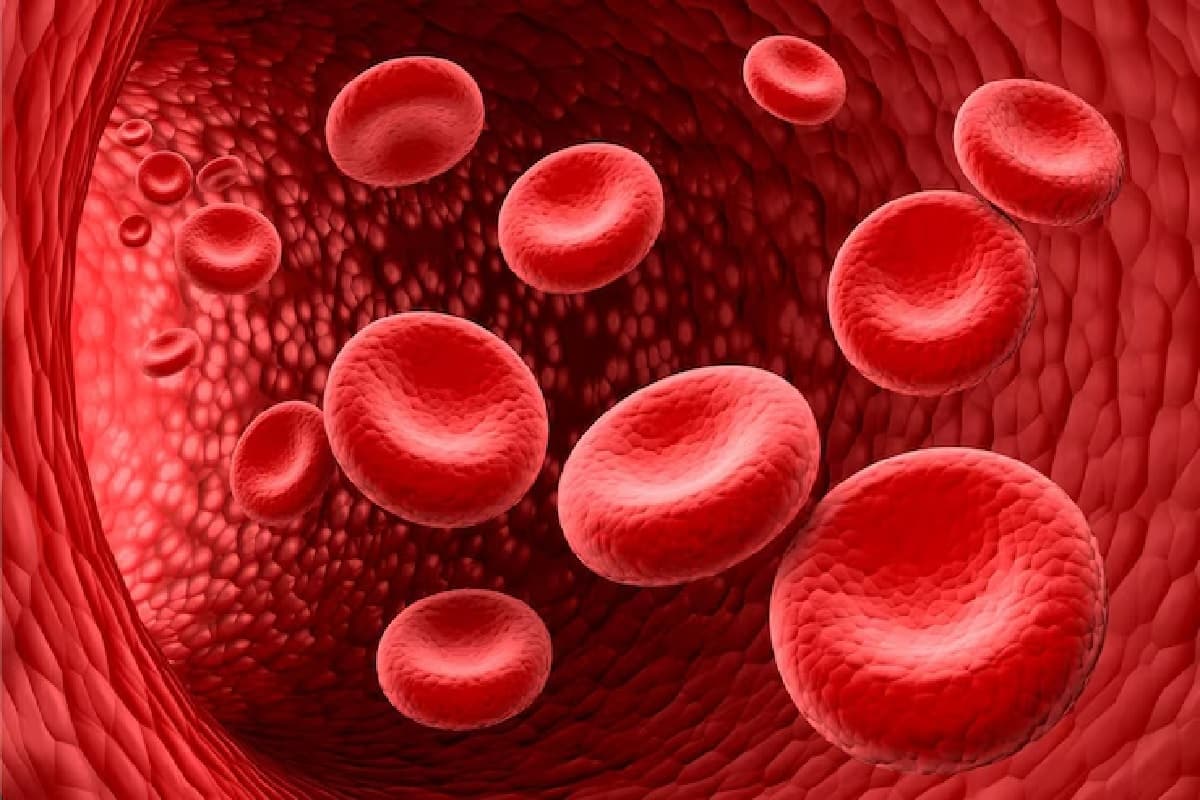 Blood Detoxification Tips: खून को साफ रखने के लिए अपनाएं ये असरदार घरेलू नुस्खे, सेहत रहेगी दुरुस्त!