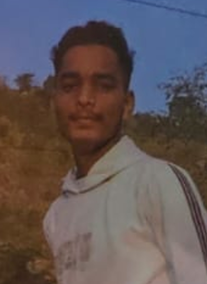 पेड़ से टकरायी बाइक, युवक की मौत, पिता व भाई घायल