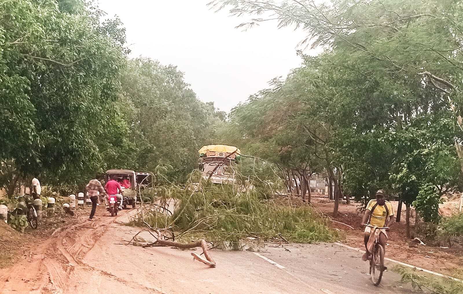 तेज आंधी में पेड़ गिरने से यातायात व्यवस्था बाधित