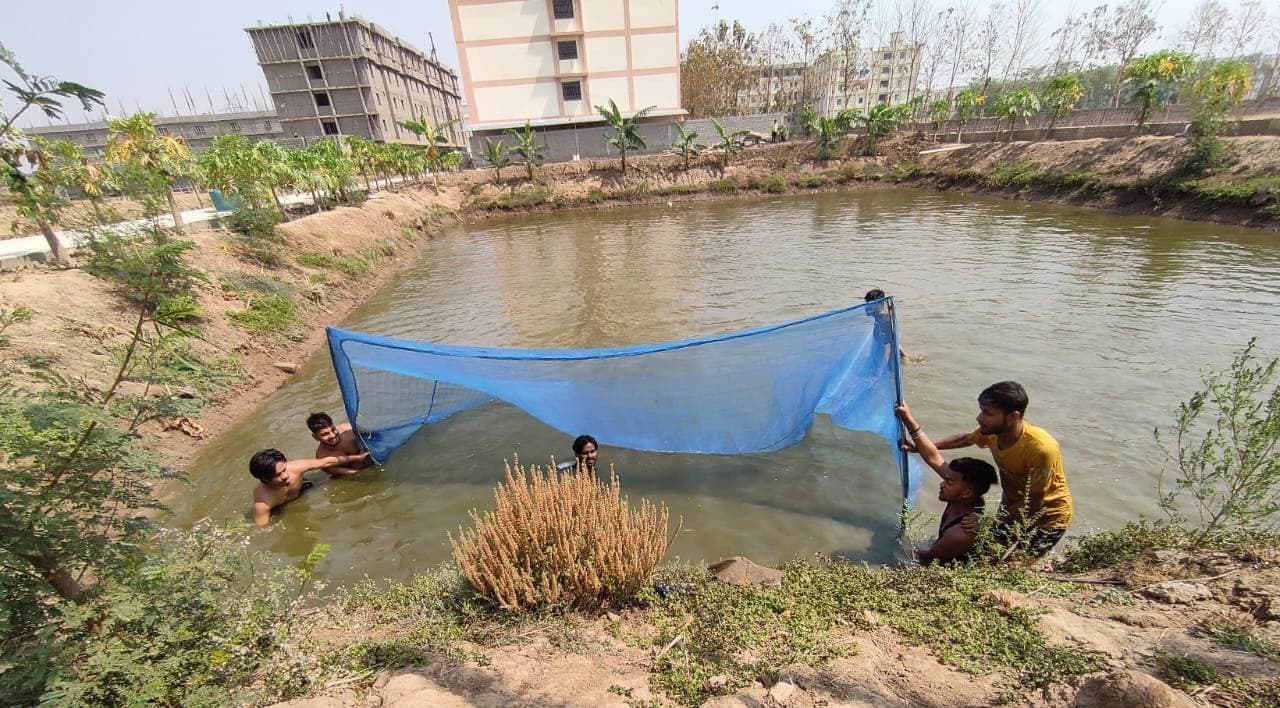 गर्मी में मछली पालन जोखिम भरा, पर सावधानी दिला सकती है फायदा : डॉ मेहता