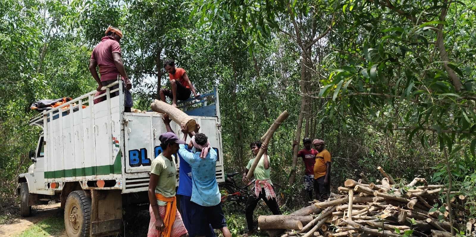 East Singhbhum News : गालूडीह में काटे जा रहे जंगल वन विभाग ने लकड़ियां जब्त की