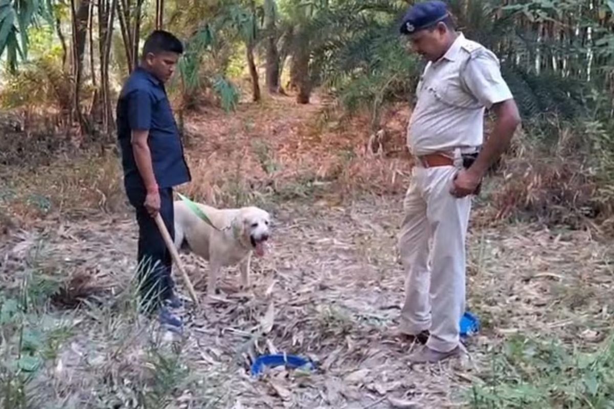 Bihar Liquor: जमीन के अंदर से मिला शराब का जखीरा, डॉग स्क्वॉयड की मदद से चल रहा था तलाशी अभियान