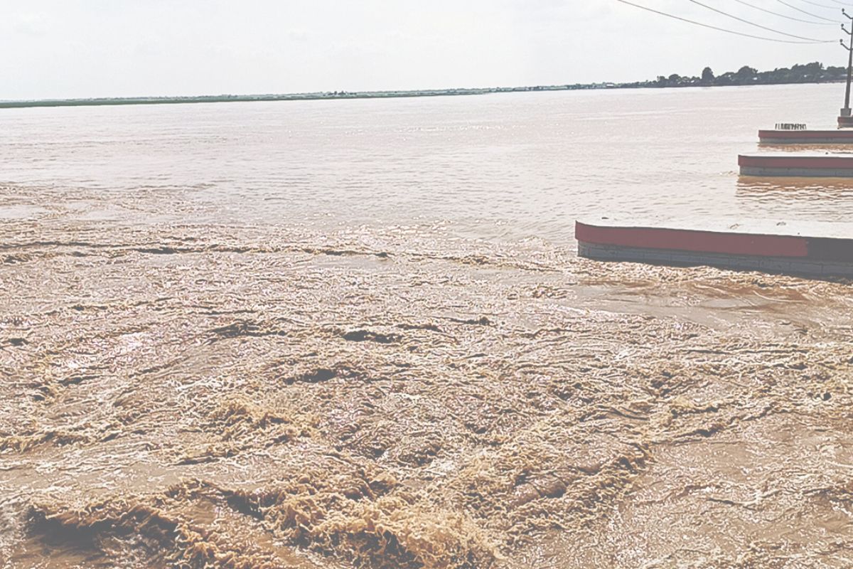 Bihar Flood Alert: नेपाल में भारी बारिश से कोसी नदी उफान पर, बराज के 11 फाटक खुले, गांवों में दहशत
