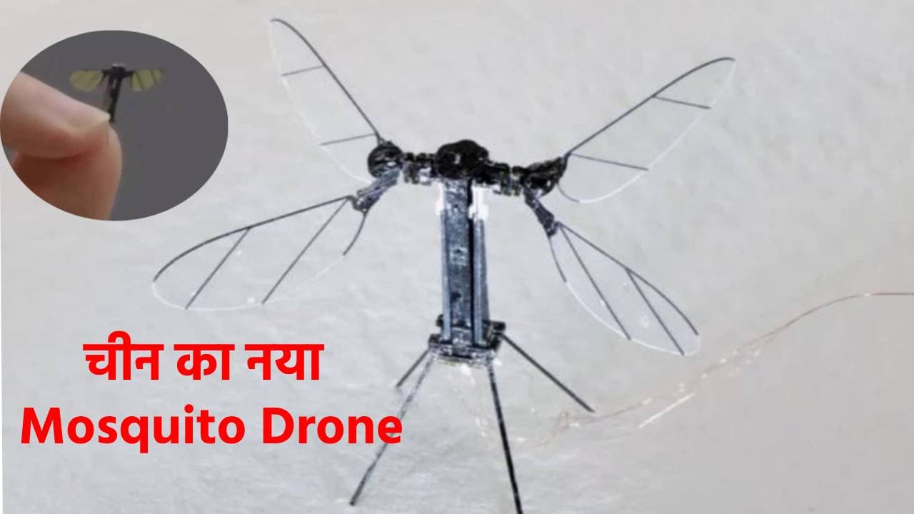 अजूबा या कहर! चीन का नया खतरनाक ‘मच्छर’, बिना नजर आए मचाएगा तबाही