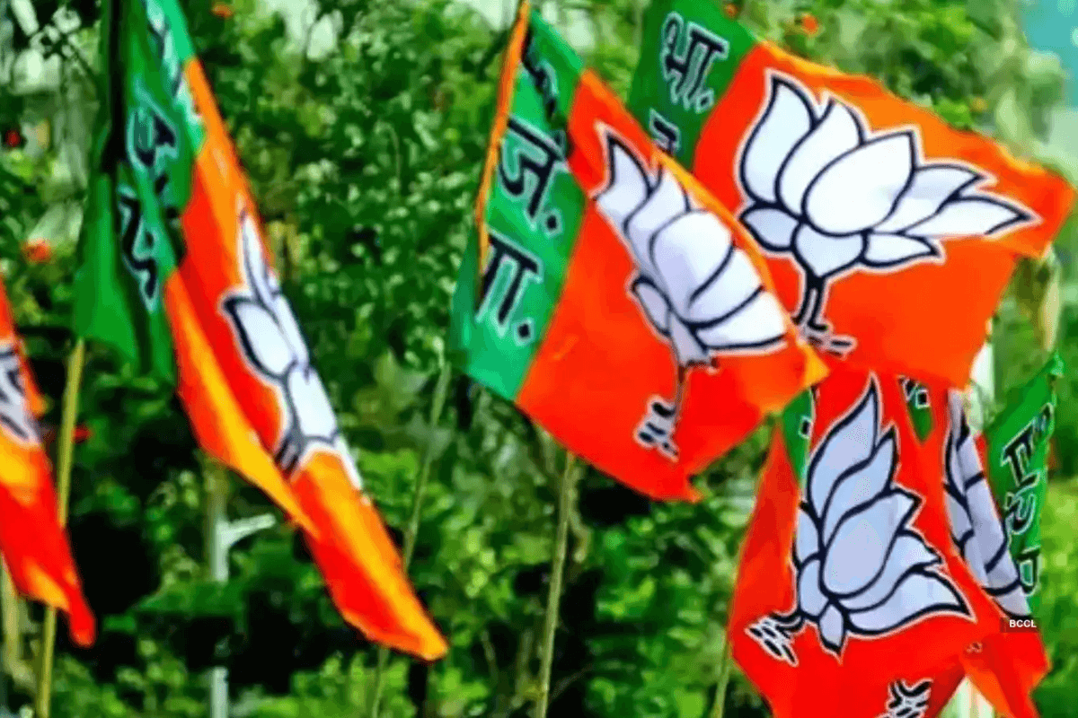 BJP अध्यक्ष में क्या है ’19’ कनेक्शन? क्यों नहीं हो पा रहा चुनाव