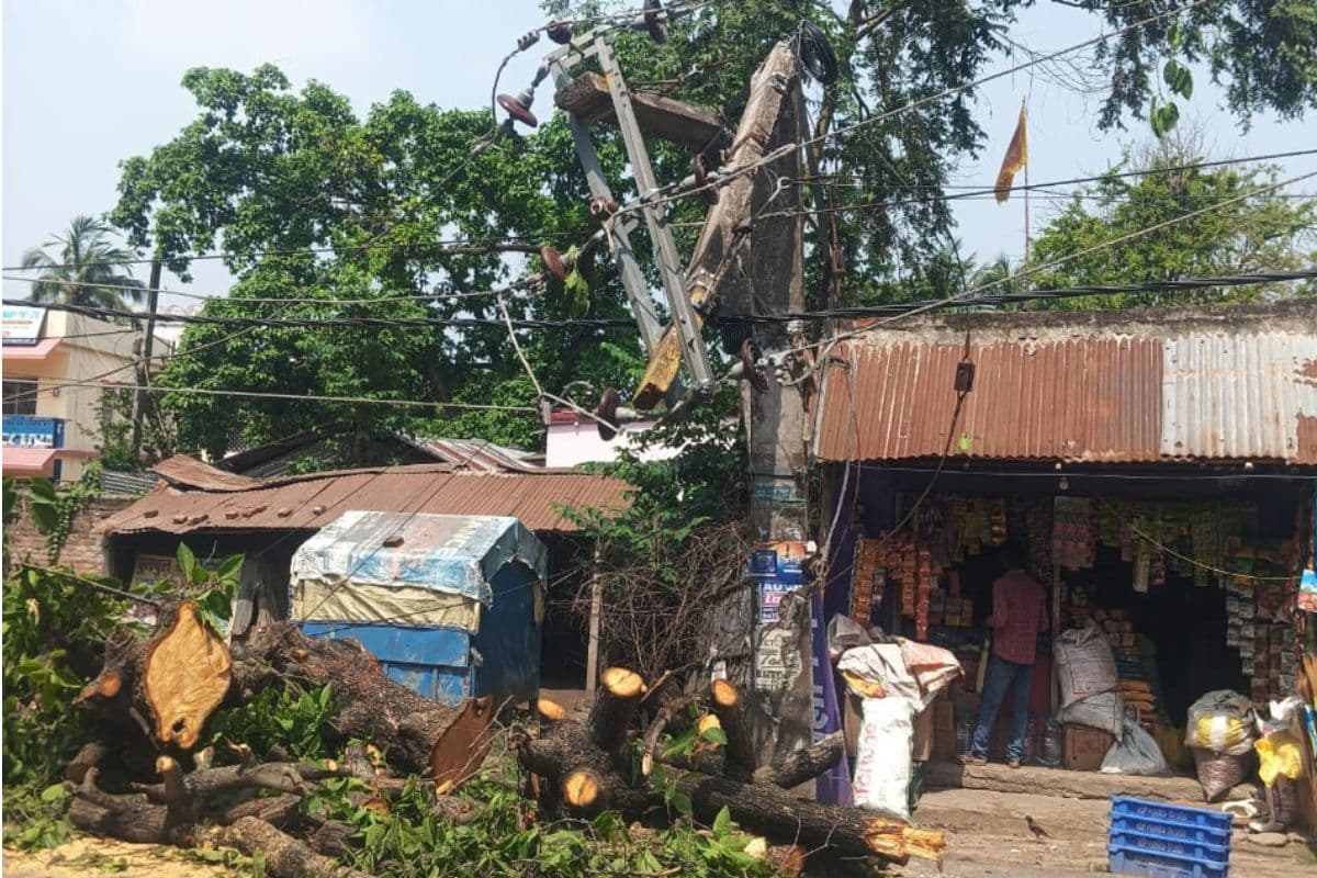 Weather: बिहार में मौसम का कहर, कोसी-सीमांचल में आंधी-बारिश से मची तबाही, दो की मौत