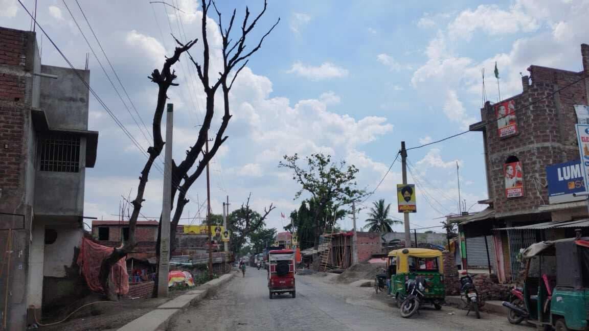 मिर्जाचौकी: सड़क किनारे जगह-जगह सूखे पेड़, हादसे का बना रहता है खतरा