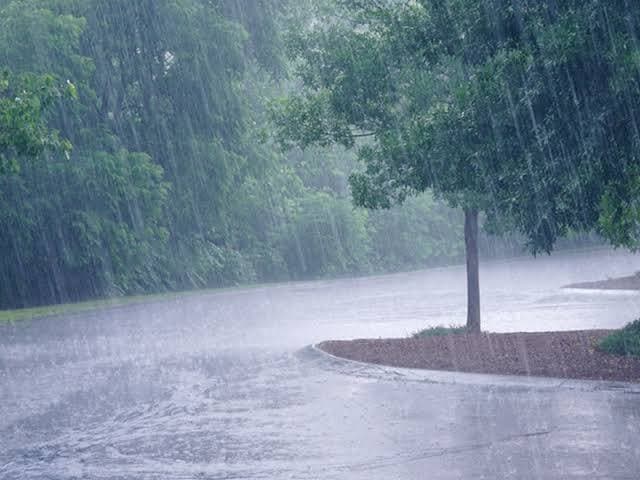 लगातार हो रही बारिश से खेतों में बीज नहीं डाल पा रहे हैं किसान