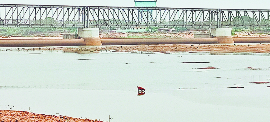 Gaya News : गया जी डैम के जलस्तर में सुधार से पिंडदानियों को अब कम हो रही दिक्कत