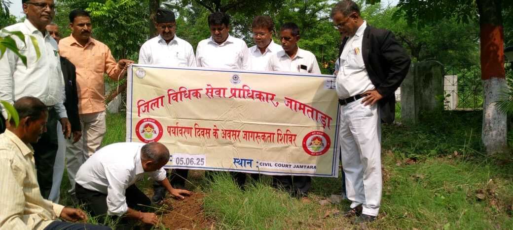 व्यवहार न्यायालय परिसर में लगाया गया फलदार पौधे
