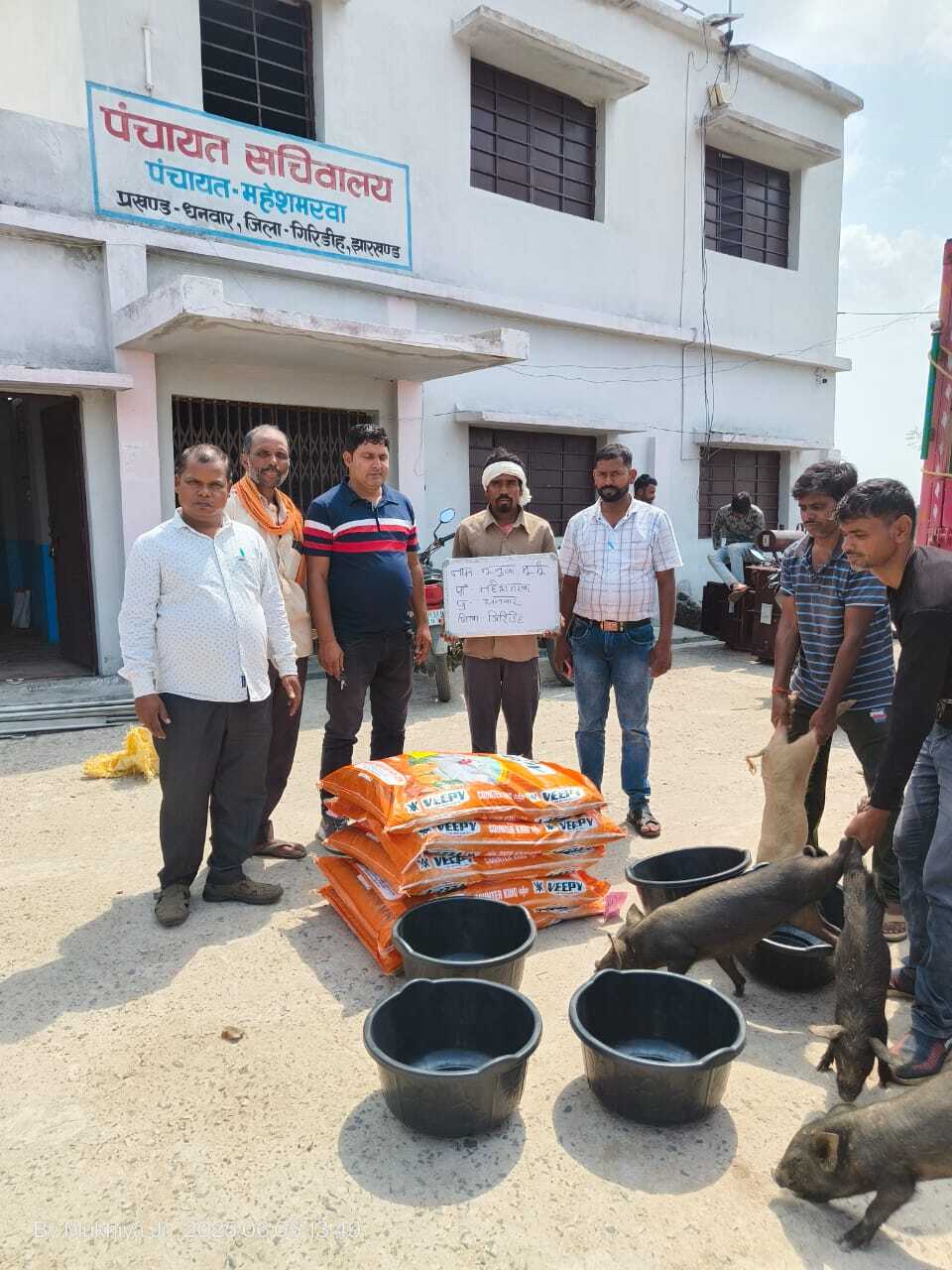 Giridih News: पशुधन योजना के तहत किसानों के बीच सूकर का किया गया वितरण