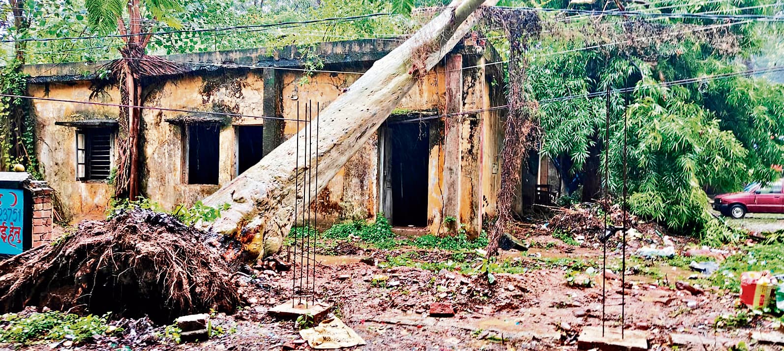 East Singhbhum News : बारिश में जमीन पर गिरा पोल और तार, तीन घंटे तक दौड़ती रही बिजली