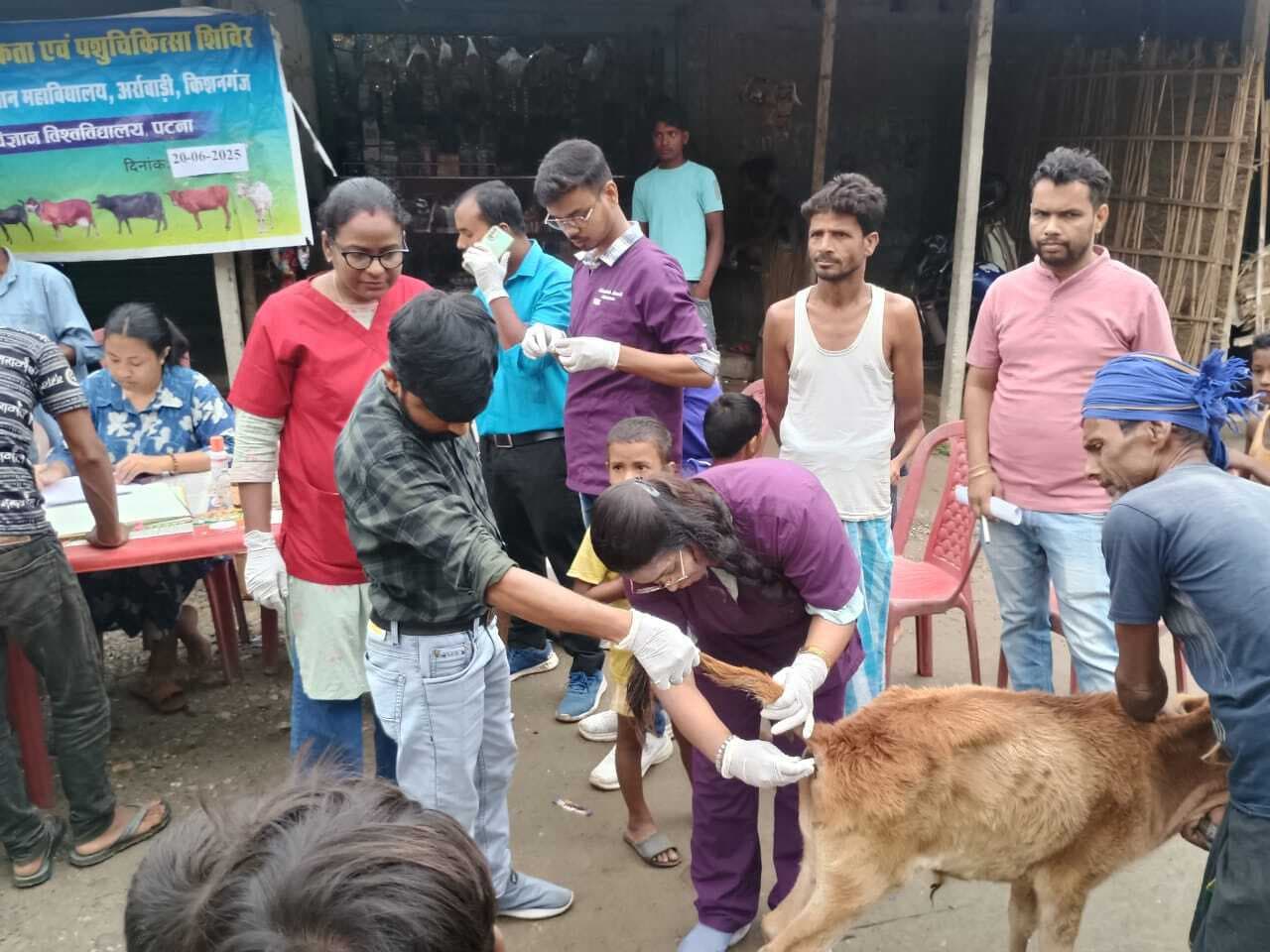 चिकित्सा शिविर में 129 पशुपालकों ने कराया उपचार