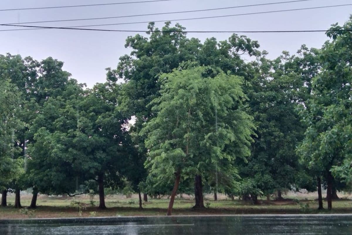 Jharkhand Weather: झारखंड में 3 घंटे के अंदर बदलेगा मौसम, आंधी-तूफान के साथ बारिश और वज्रपात, ऑरेंज अलर्ट जारी