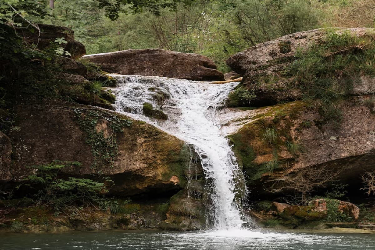 Travel Tips: क्या आप जानते हैं झारखंड के जंगलों में छिपा है ‘मिनी उत्तराखंड’,गर्मियों में कांप जाती हैं रूह