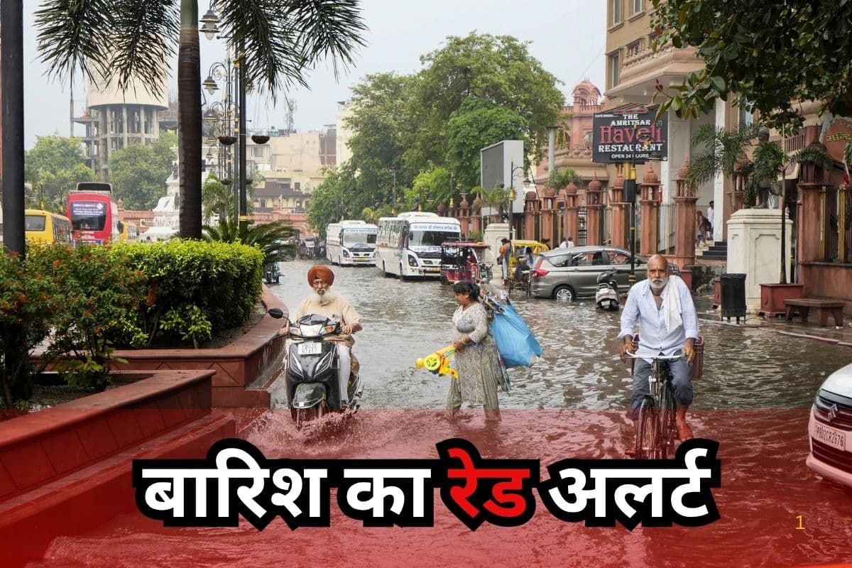 Heavy Rain Alert: मानसून ने पकड़ी रफ्तार, भारी बारिश से तरबतर मध्य प्रदेश और छत्तीसगढ़, मौसम अपडेट