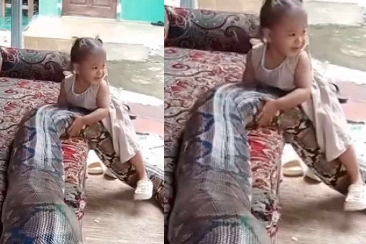 Viral Video: अजगर की सवारी करती दिखी बच्ची, वीडियो देखकर कांप जाएगी आत्मा!